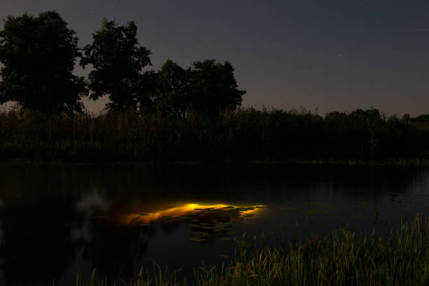 istock Underwater diving at night. Light from river Stochid bottom. Full moon over foggy river in Volyn. Moon light at night landscape 1083312016