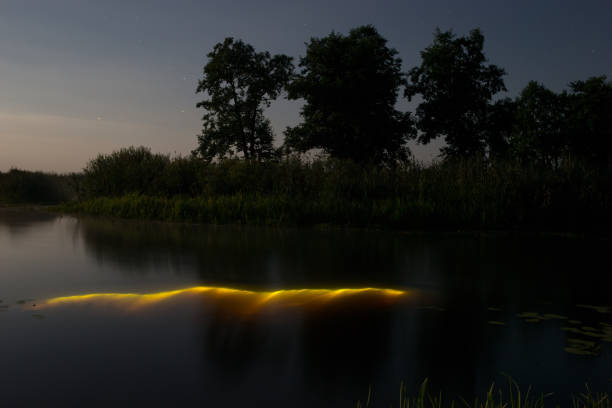 istock Underwater diving at night. Light from river Stochid bottom. Full moon over foggy river in Volyn. Moon light at night landscape 1083312040