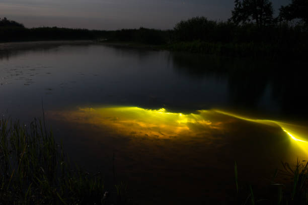 Underwater diving at night with flashlight. Light from river bottom. Full moon over foggy river Stochid in Volyn. Moon light at night landscape