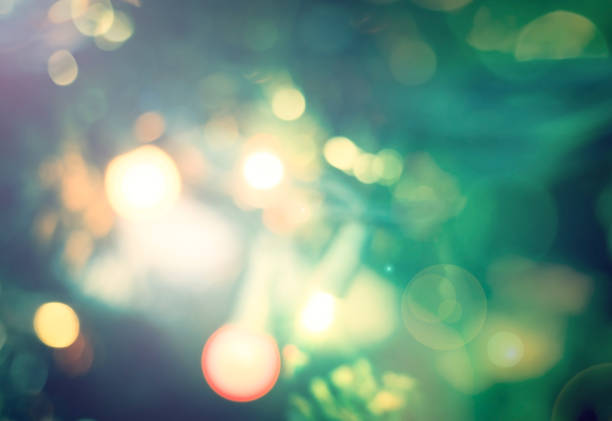 Happy new year 2019 concept: Abstract bokeh light bulb and blurred green christmas tree background