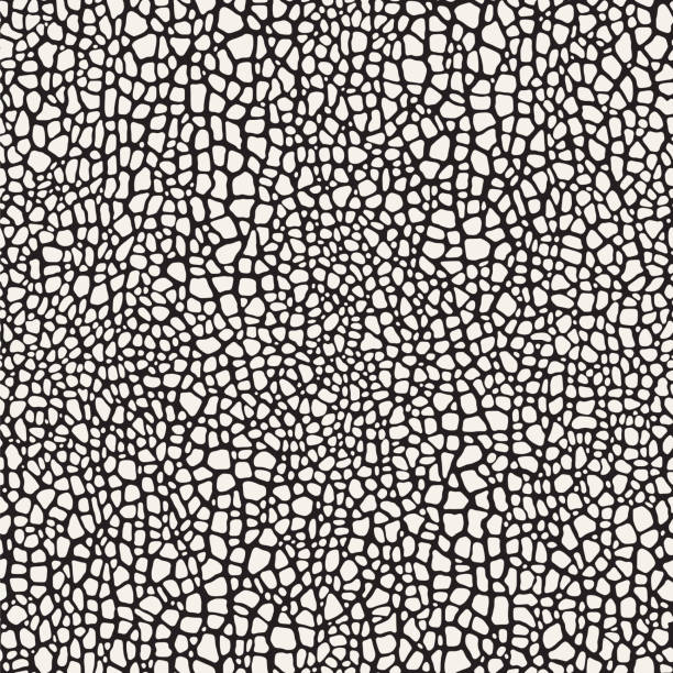 ilustrații de stoc cu pebble mozaic fundal textura organica - stâncă
