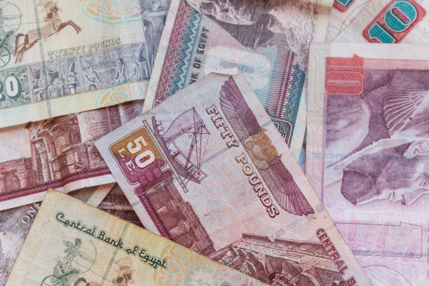 istock Background of different egyptian pounds banknotes. Egyptian currency 1083316332