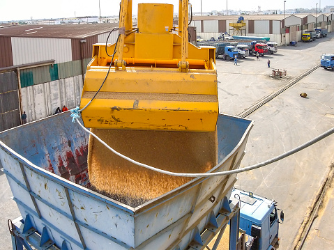 Discharging Wheat from bulk carrier ship with grab