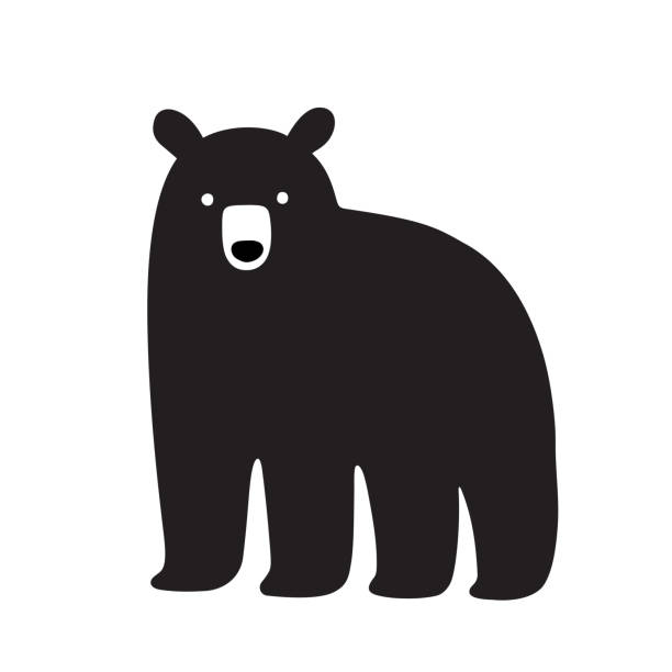 미국 블랙 곰 그리기 - 흑백 일러스트 stock illustrations