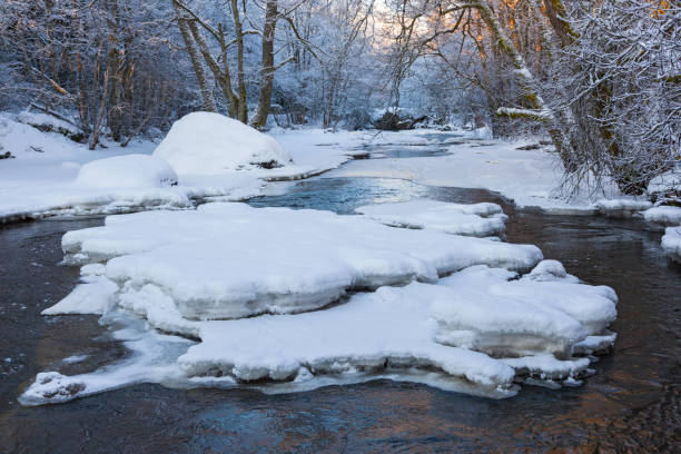 banquise de glace et de neige dans la rivière qui coule à travers les bois d’hiver - 18636 photos et images de collection