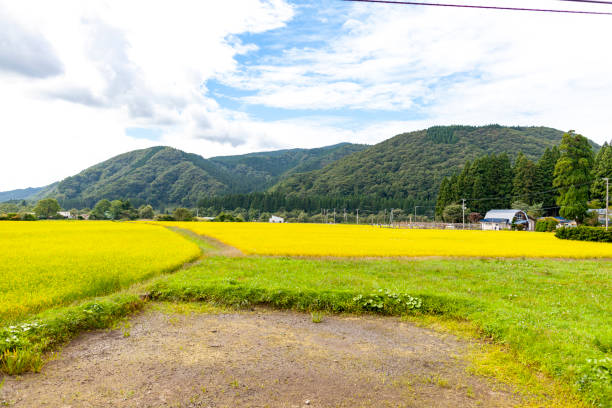 istock autumn in Japan 1083323394