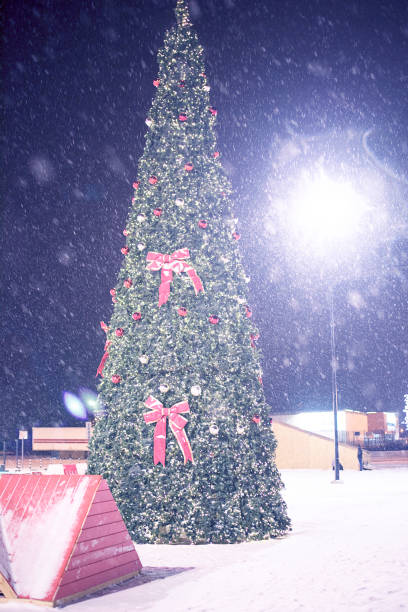 istock Christmas tree at night in snow 1083328622