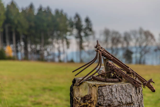 beautiful image of a rusty metal structure with abstract shape on a tree stump on a wonderful autumn day with a blurred background in the Belgian Ardennes