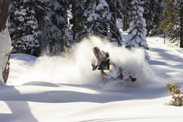 коричневая гора снегоходы - snowmobiling snow winter mountain стоковые фото и изображения