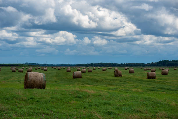 istock rolls of hay in green field under blue sky 1083348856