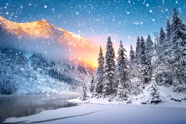 istock Winter Christmas holiday background 1083349974