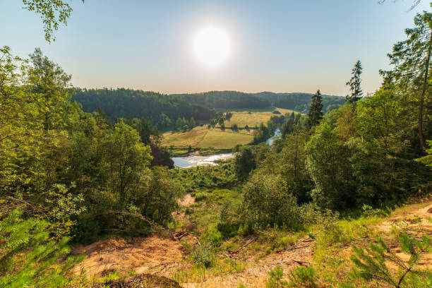 istock wavy river in forest in green summer 1083351304