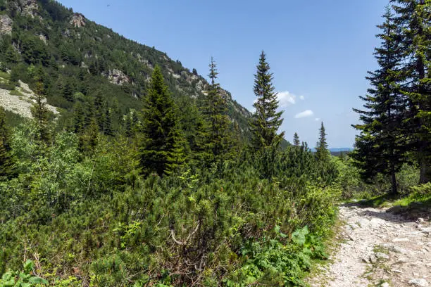 Amazing landscape from hiking trail for Malyovitsa peak, Rila Mountain, Bulgaria
