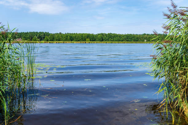istock blue sky white clouds over calm body of water 1083363254
