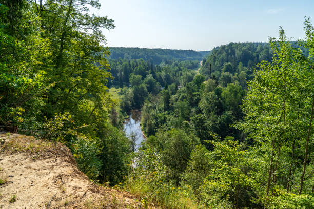 istock wavy river in forest in green summer 1083363258