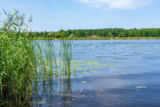 istock blue sky white clouds over calm body of water 1083363280
