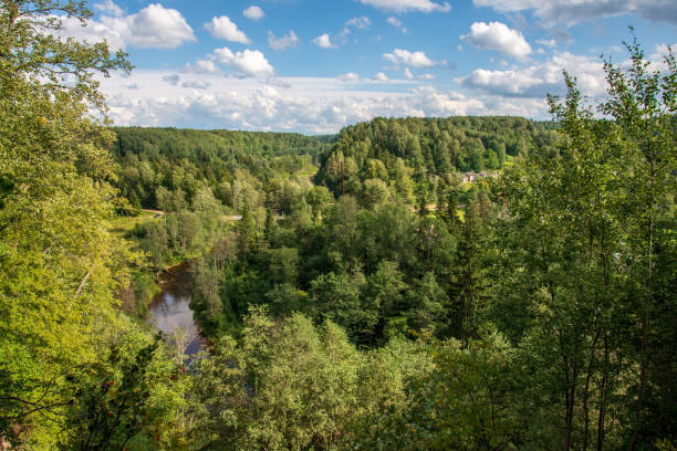 istock wavy river in forest in green summer 1083363308