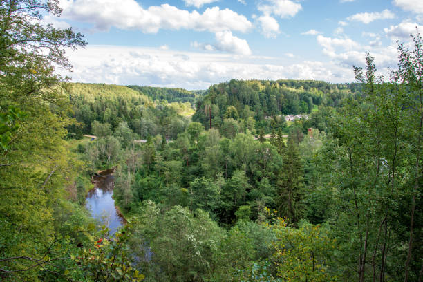 istock wavy river in forest in green summer 1083363312