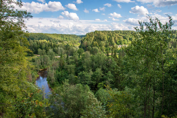 istock wavy river in forest in green summer 1083363314