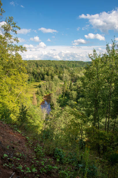 istock wavy river in forest in green summer 1083363316