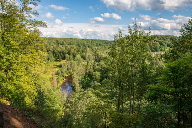 istock wavy river in forest in green summer 1083363324