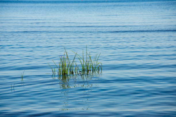 istock blue sky white clouds over calm body of water 1083363328