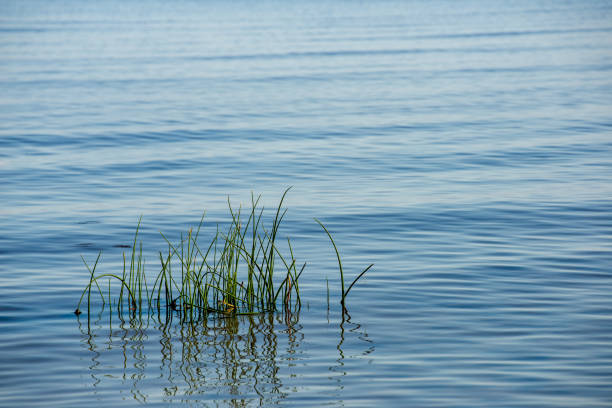 istock blue sky white clouds over calm body of water 1083363342