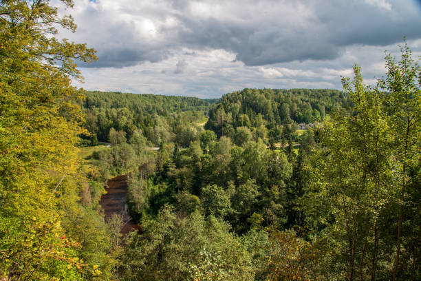 istock wavy river in forest in green summer 1083363374