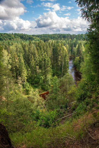 istock wavy river in forest in green summer 1083363412