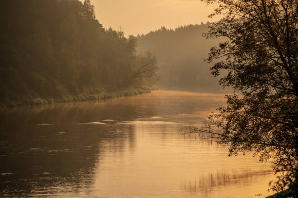 colorful sunset on river Gauja in Latvia, summer colors, rivers in forest with mist