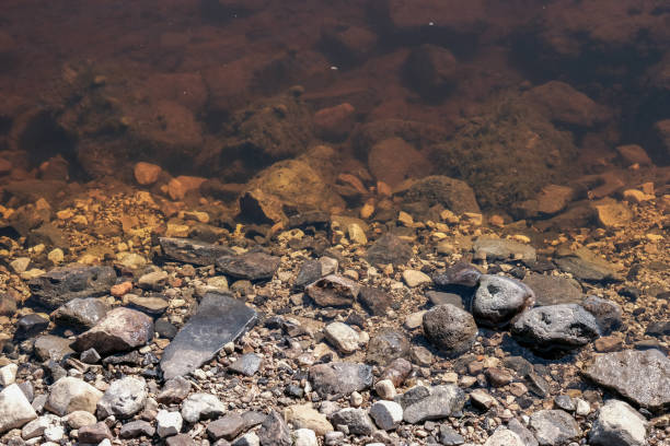 istock lakeside beach details with sand, rocks and blur background 1083364178