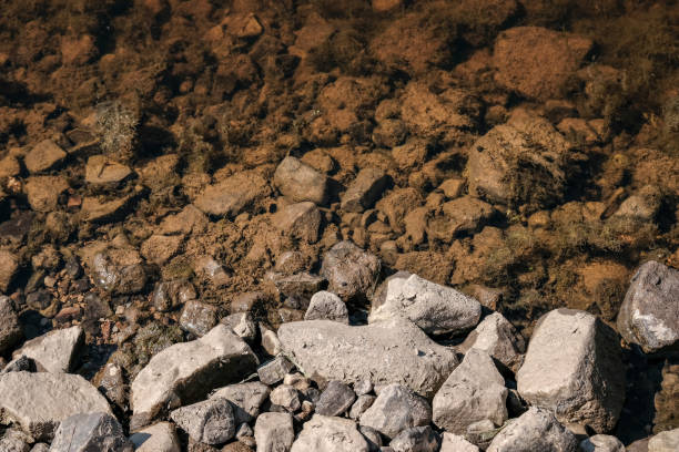 istock lakeside beach details with sand, rocks and blur background 1083364188
