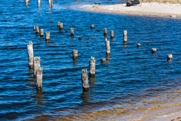 lakeside beach details with sand, rocks and blur background. seaside pattern