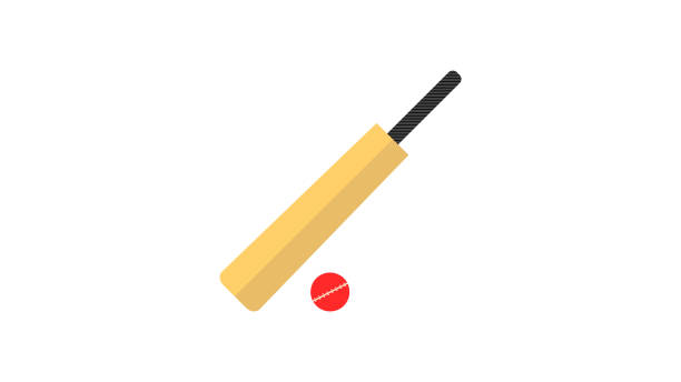 крикет плоский дизайн индия икона - cricket bat stock illustrations