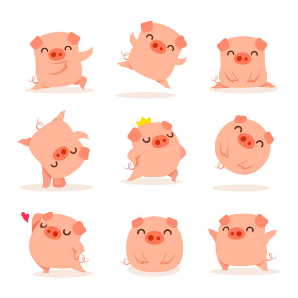 illustrations, cliparts, dessins animés et icônes de collection du petit cochon - pig