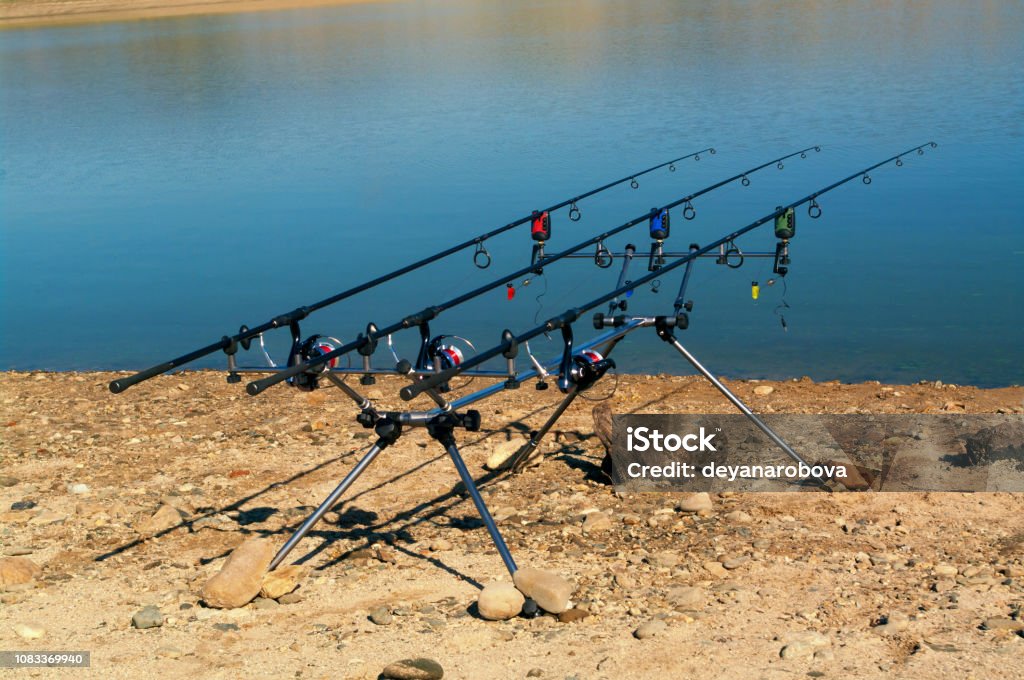 Carp Fishing Rods On A Rod Pod With The Swingers Attached Ready To