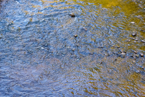 lakeside beach details with sand, rocks and blur background. seaside pattern