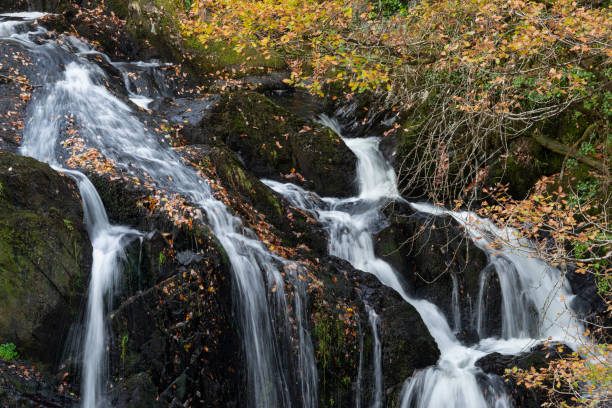istock Swallow Waterfalls Falls in the Fall 1083377256