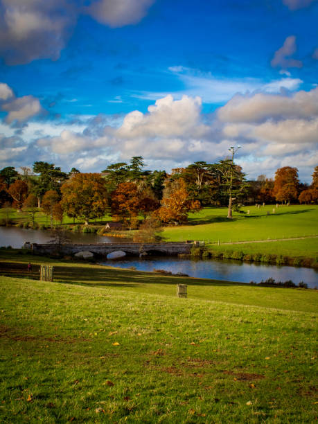 istock Shobrooke Country Park 1083378690