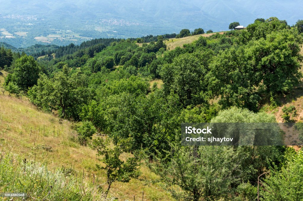 Ograzhden 山ブルガリアブラゴエヴグラト州地域の風景 バケーションのストックフォトや画像を多数ご用意 バケーション, ピリン