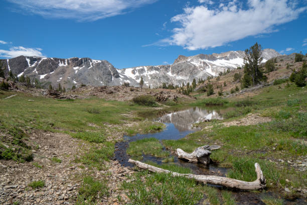 20 lakes basin backpacking and wilderness hiking the california eastern sierra nevada mountains - saddlebag imagens e fotografias de stock