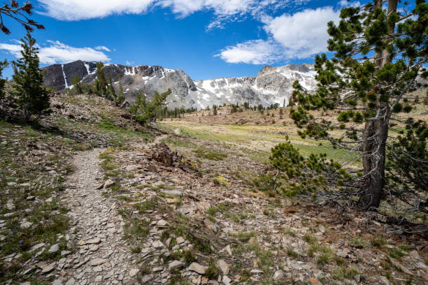 rocky hiking trail leading into the 20 lakes basin backpacking hoover wilderness area - saddlebag imagens e fotografias de stock