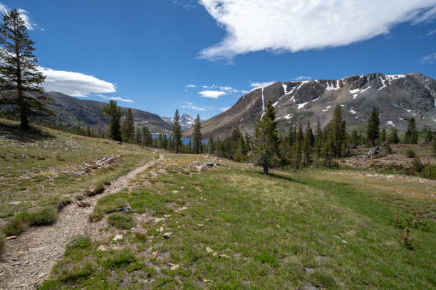 trail looking towards saddlebag lake, mount conness in the eastern sierra nevada mountains of california in the summer - saddlebag imagens e fotografias de stock