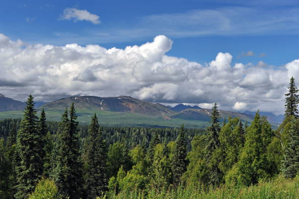 istock Alaska. Mountains and forests. 1083383818