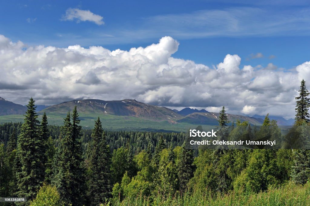 Alaska. Mountains and forests. Alaskan Culture Stock Photo