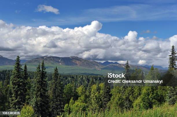 Alaska Mountains And Forests Stock Photo - Download Image Now - Alaskan Culture, Forest, Alaska - US State