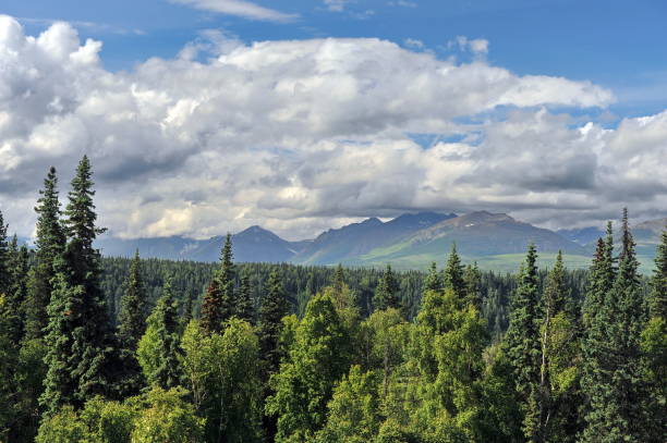 istock Alaska. Mountains and forests. 1083383836