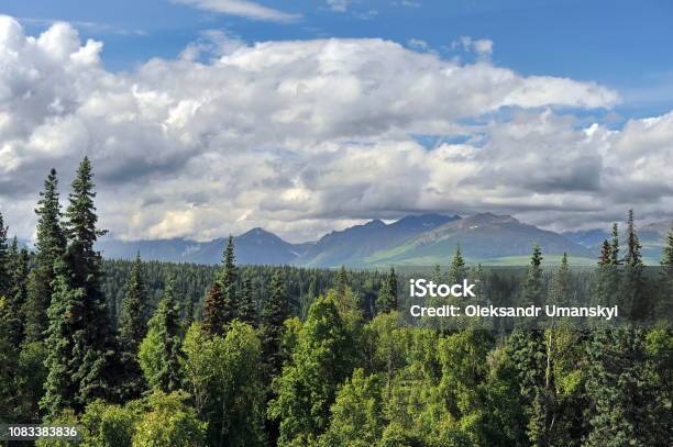 Alaska Mountains And Forests Stock Photo - Download Image Now - Alaska - US State, Lake, Alaskan Culture