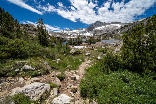 20 lakes basin backpacking and wilderness hiking the california eastern sierra nevada mountains in the summer. - saddlebag imagens e fotografias de stock