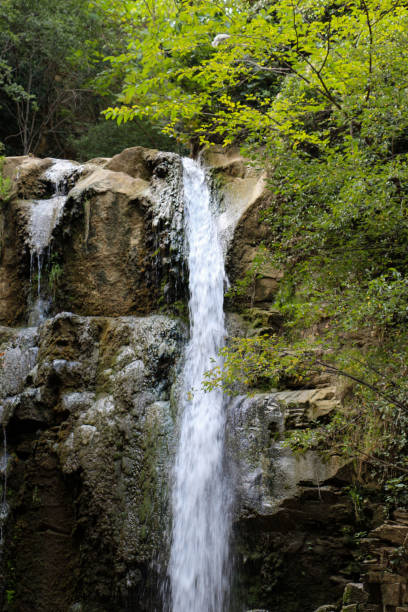 istock Beautiful little waterfall in forest 1083385402